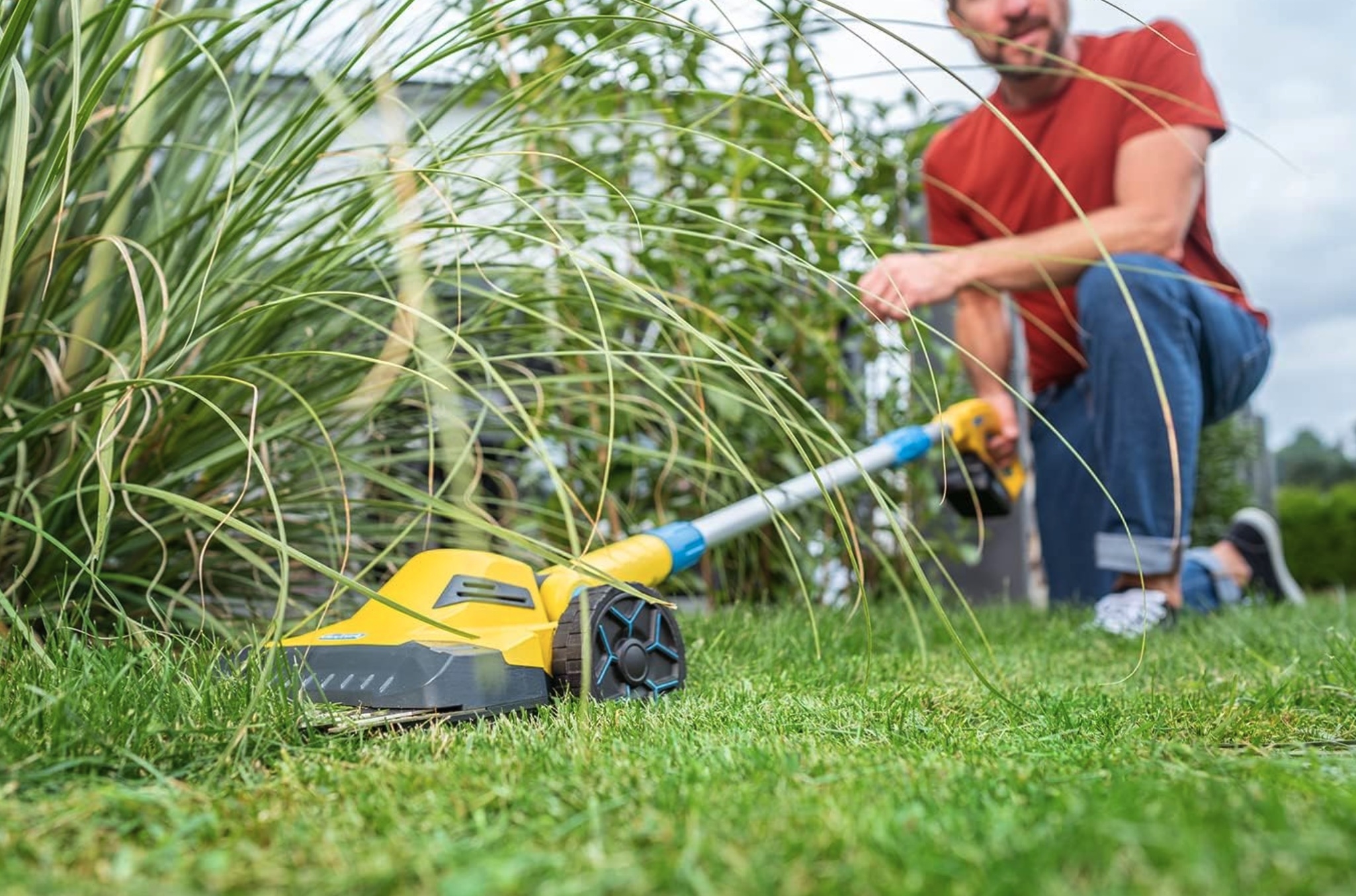 À prix canon sur Amazon : l'offre à ne pas rater pour un jardin au top