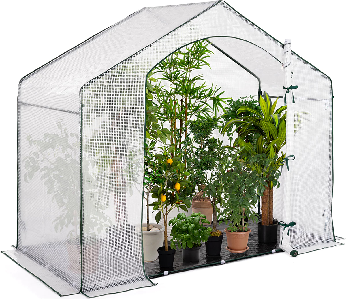 Format mini, efficacité maxi : une serre qui s'adapte à tous les espaces