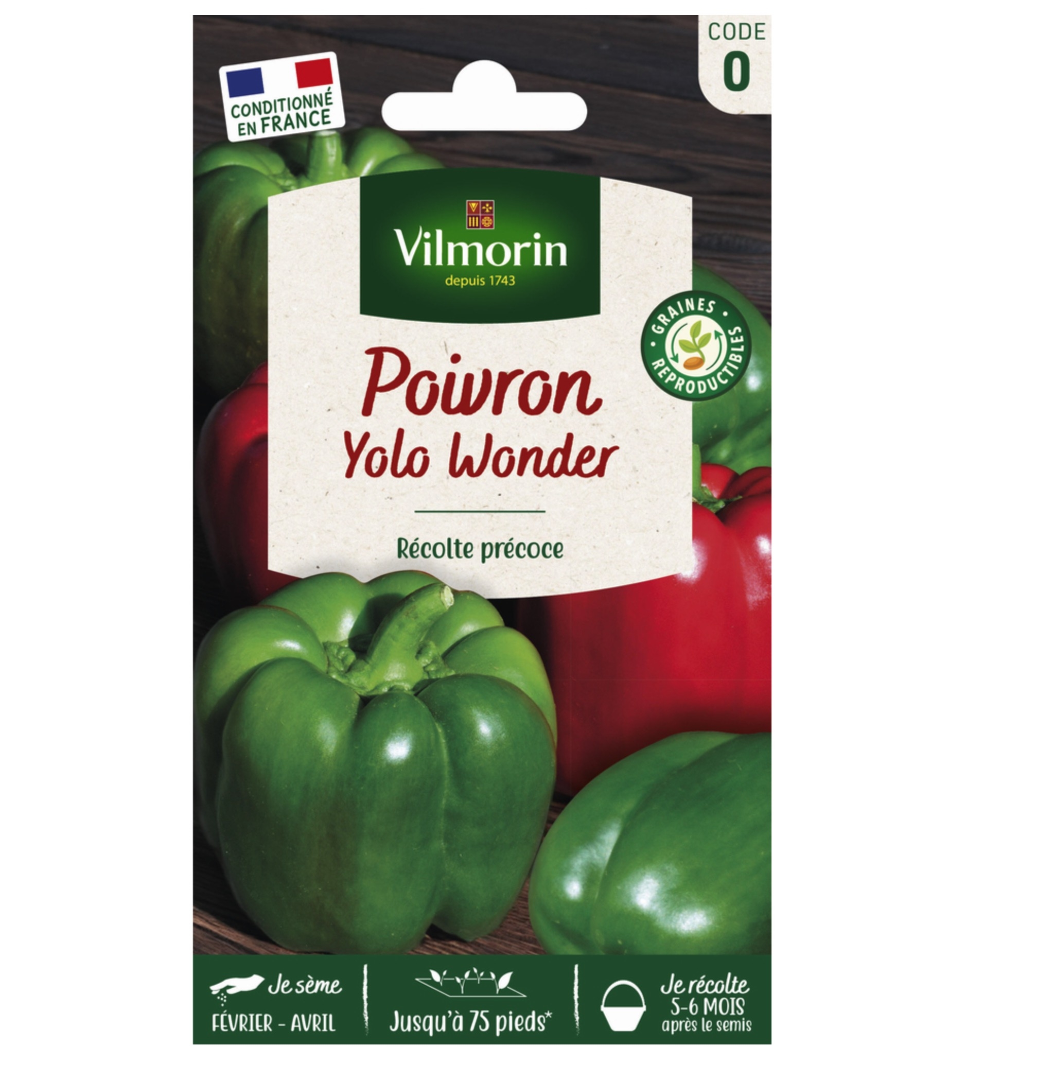 Yolo Wonder : le poids lourd des potagers qui ne manque pas de saveur