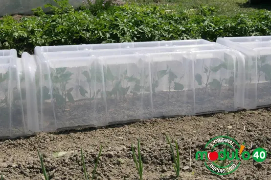 La mini serre Jardiland : le coup de pouce technologique qu'il vous manquait