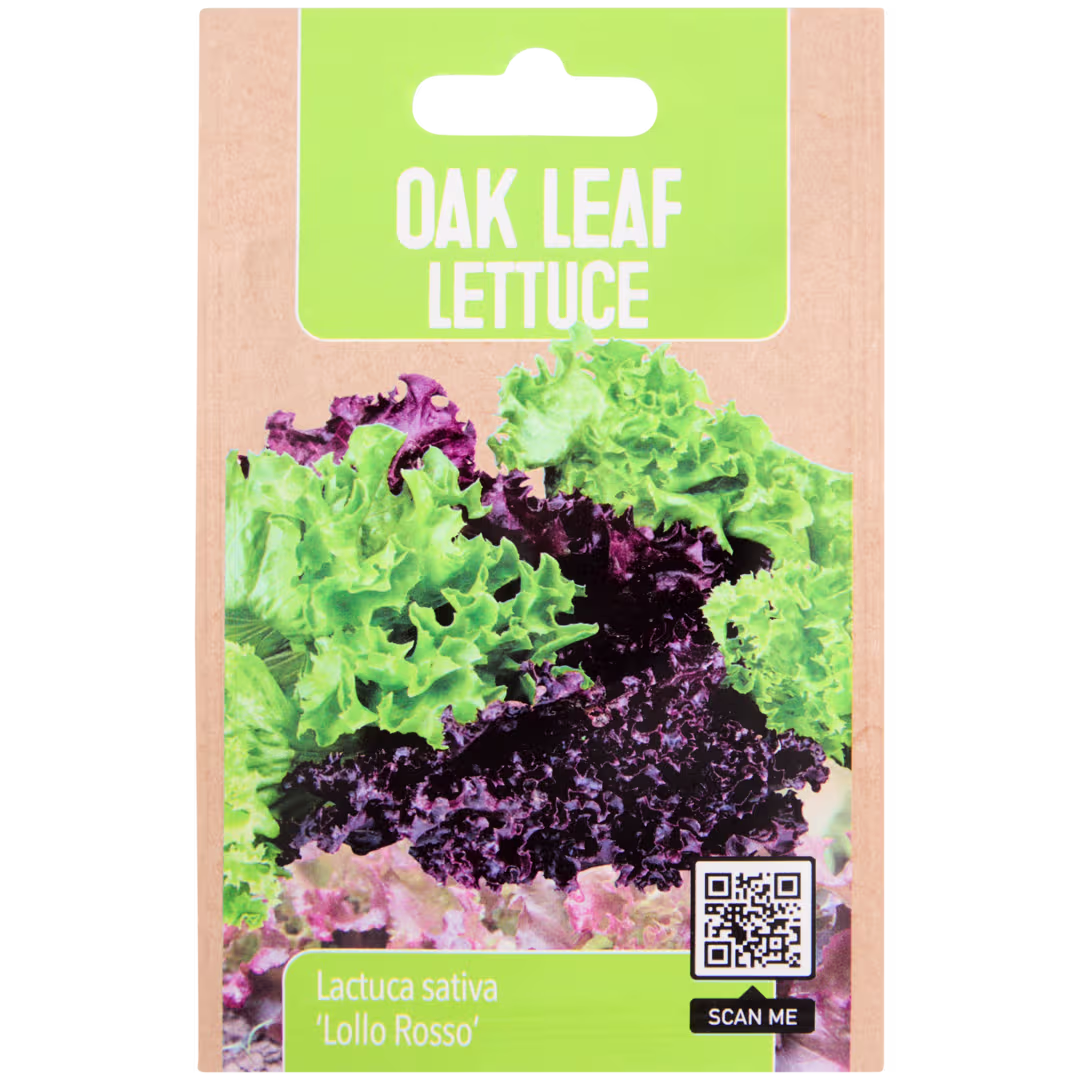 Radis, tomates et herbes : choisissez vos favoris du potager à semer chez vous