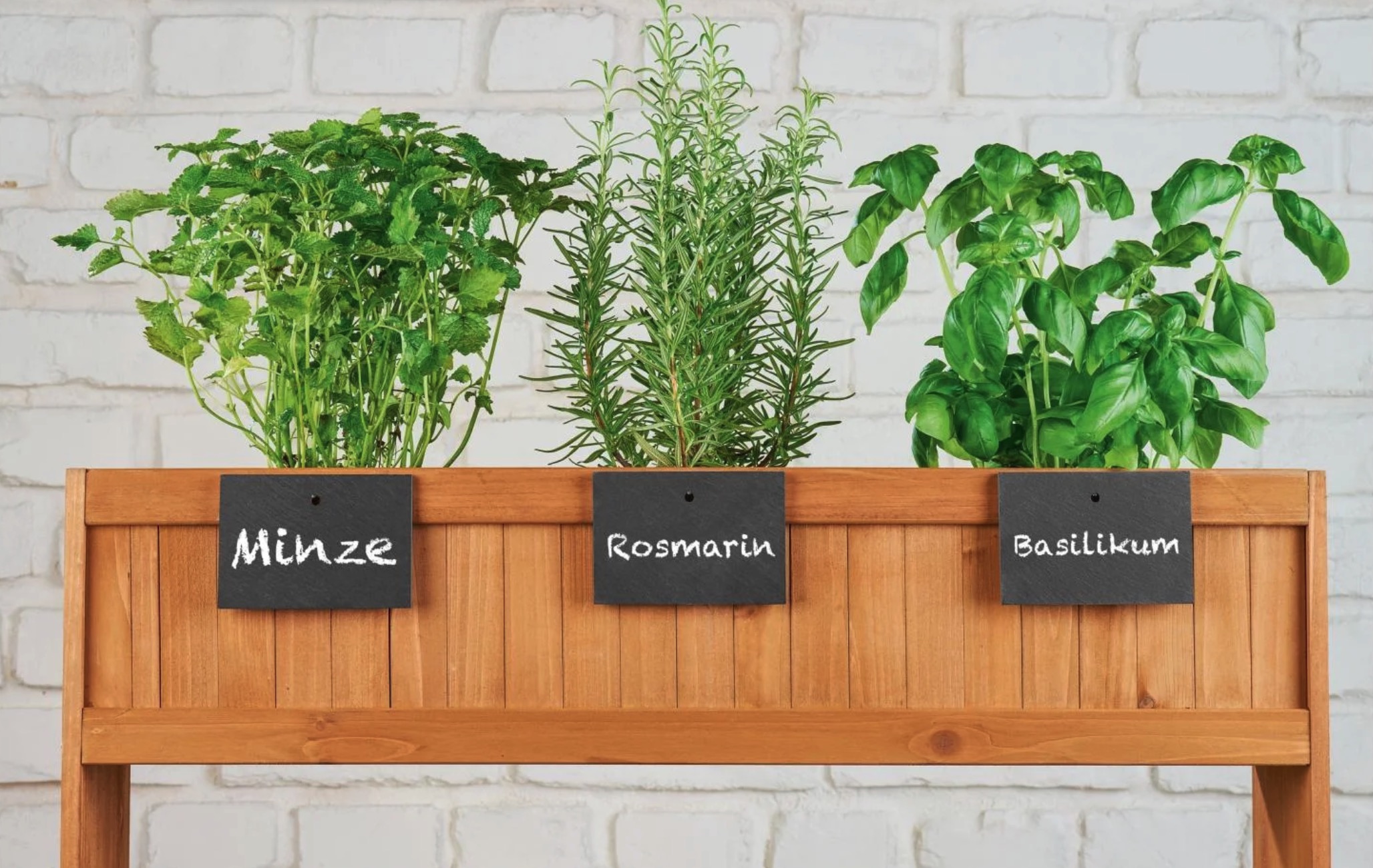 L'alternative dénichée chez Lidl qui séduit les passionnés de jardinage