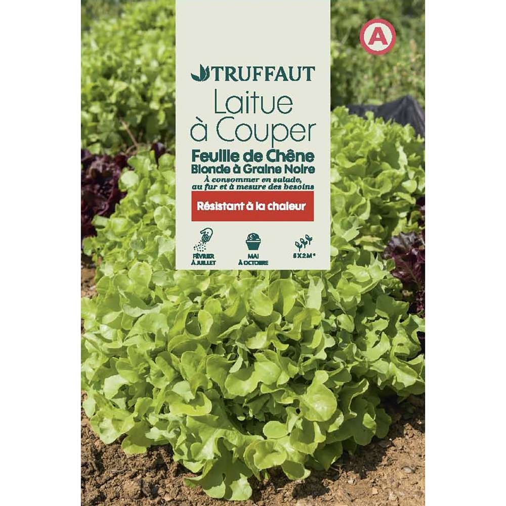 Réussir le semis : les bonnes pratiques pour voir la vie en vert