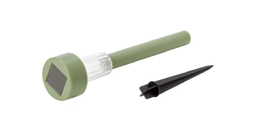 Baliser, décorer et sublimer : créez un chemin de lumière sans effort