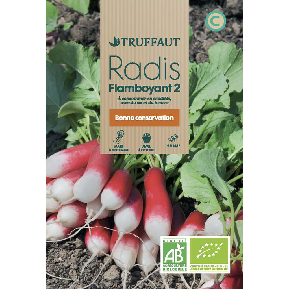 Du sachet à la terre : réussir vos premiers semis de mars