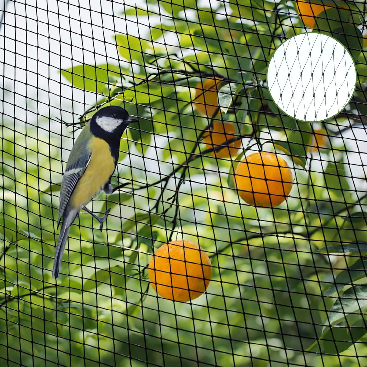 Un bouclier redoutable et économique fraîchement déniché sur Amazon