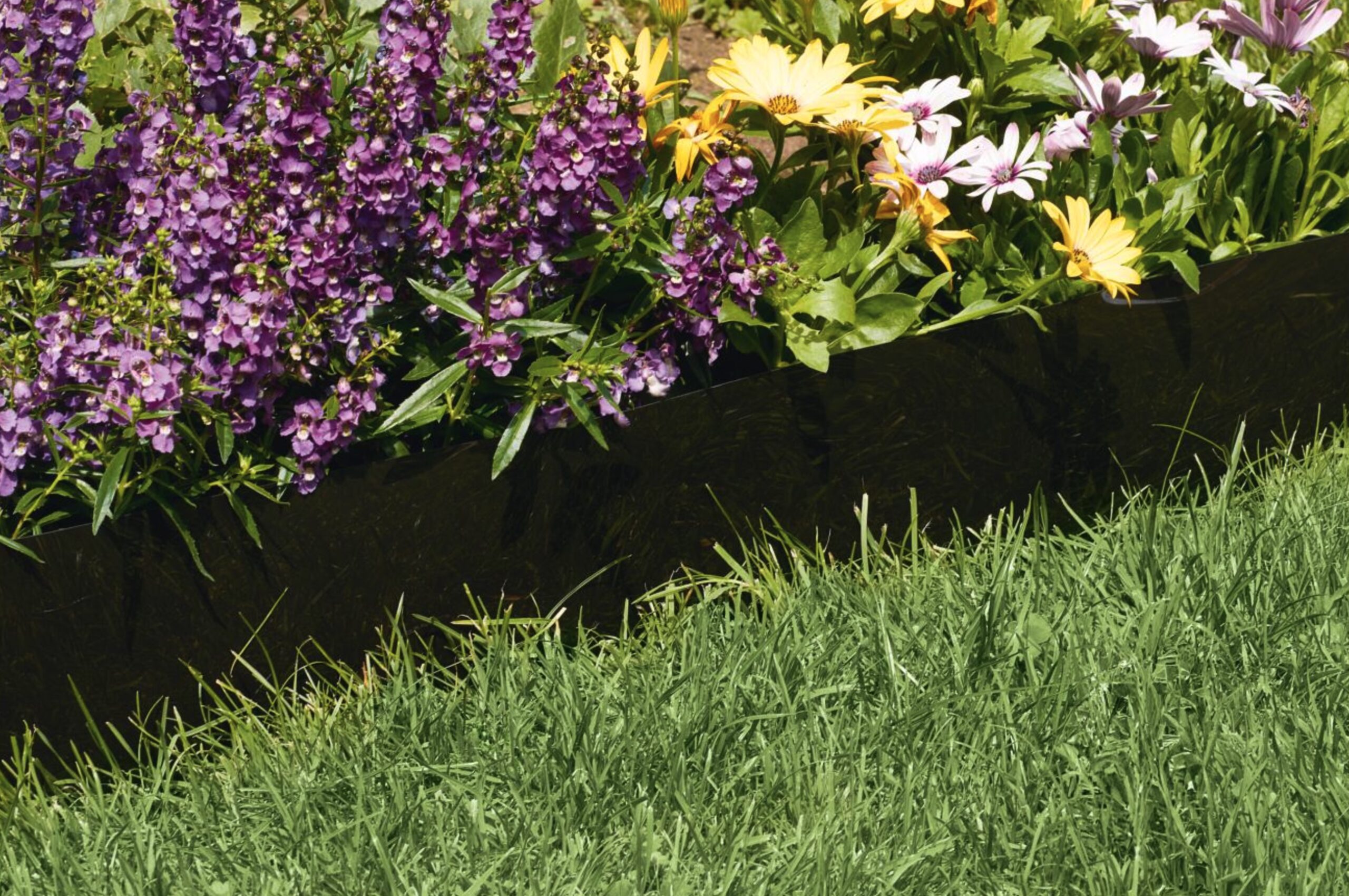 Le bilan d'une astuce redoutable pour transformer son terrain à moindre coût