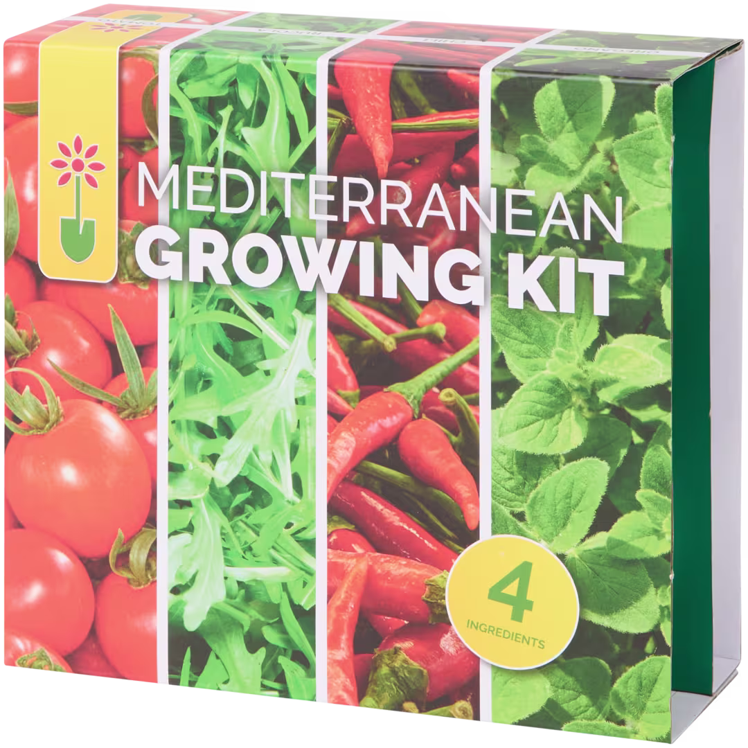 Tout est dans la boîte : le kit complet qui te fait démarrer tout de suite