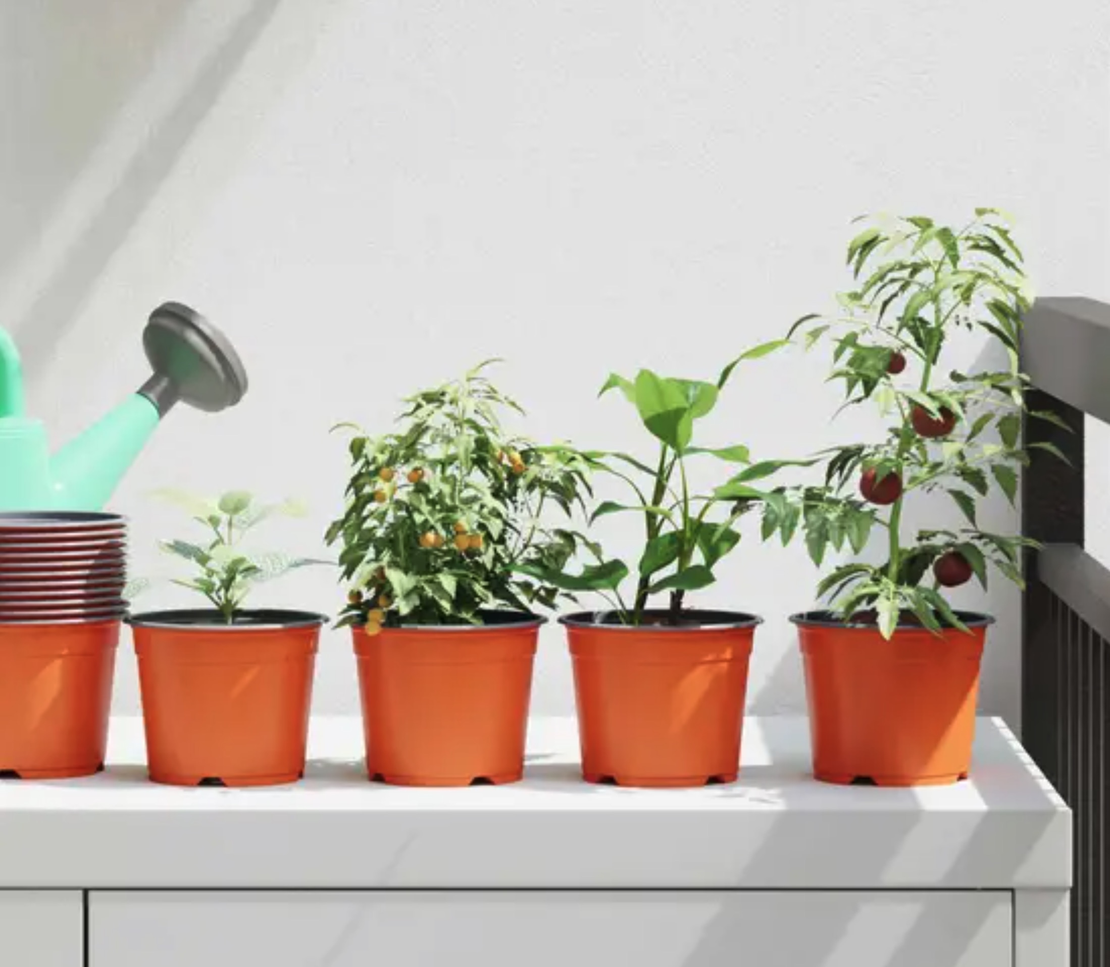 Le secret du succès fulgurant de cet arsenal complet auprès des citadins