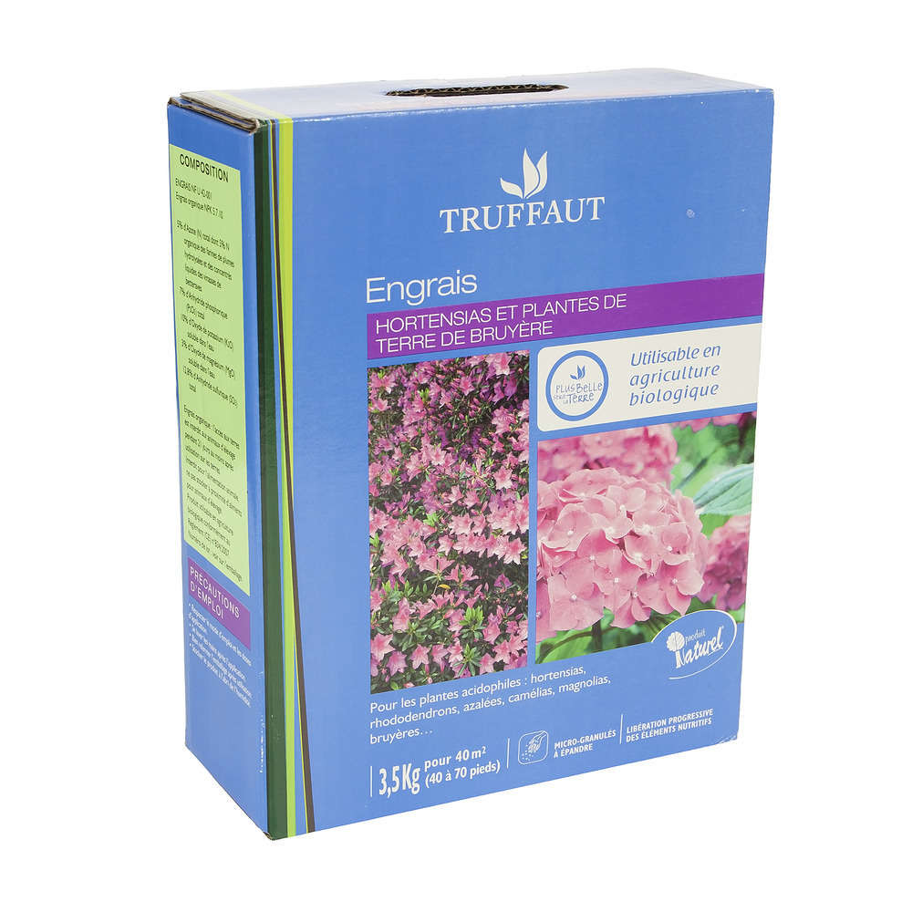 Terre de bruyère : le club des plantes exigeantes (et ce qu’elles demandent vraiment)