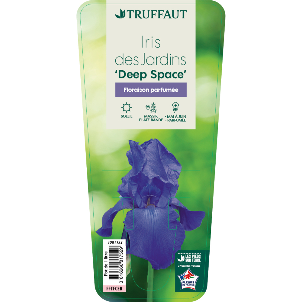 Les règles d'or du jardinier pour faire prospérer cette rareté botanique