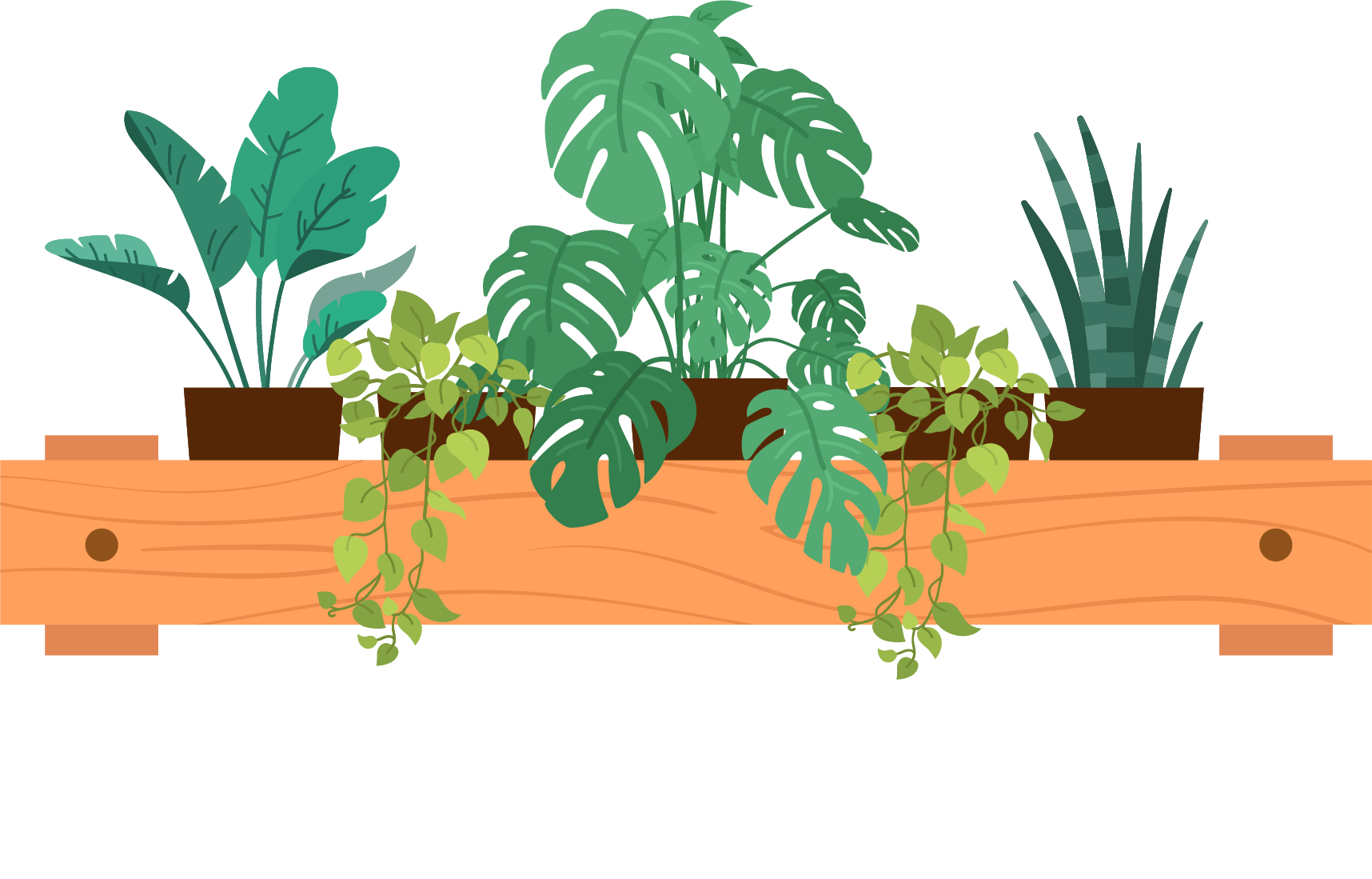 Mon petit jardin urbain